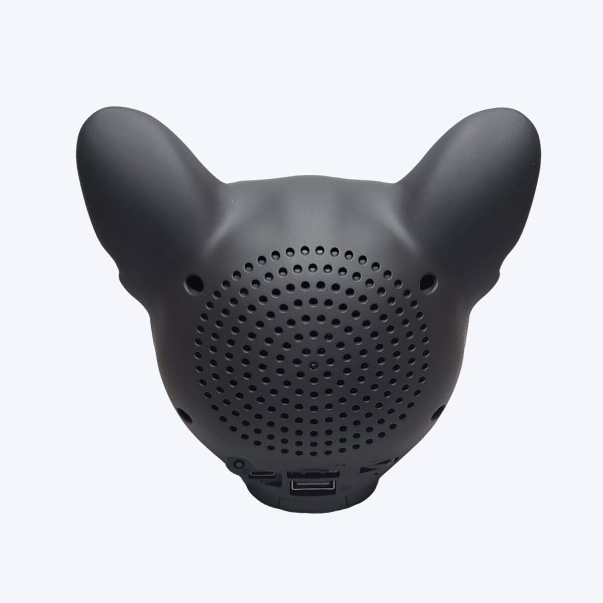 AeroBull Bluetooth Speaker