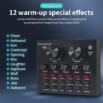 V8 Bm-800 Podcast Mic Set With