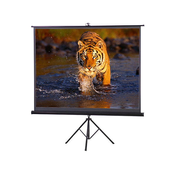 b4c1edca641775650537 Projector Screen 120 Inch Tripod Portable